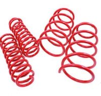Skoda OCTAVIA Lowering Springs