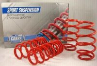 Nissan Primstar Lowering Springs