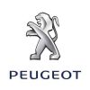 Peugeot 206 Lowering Springs